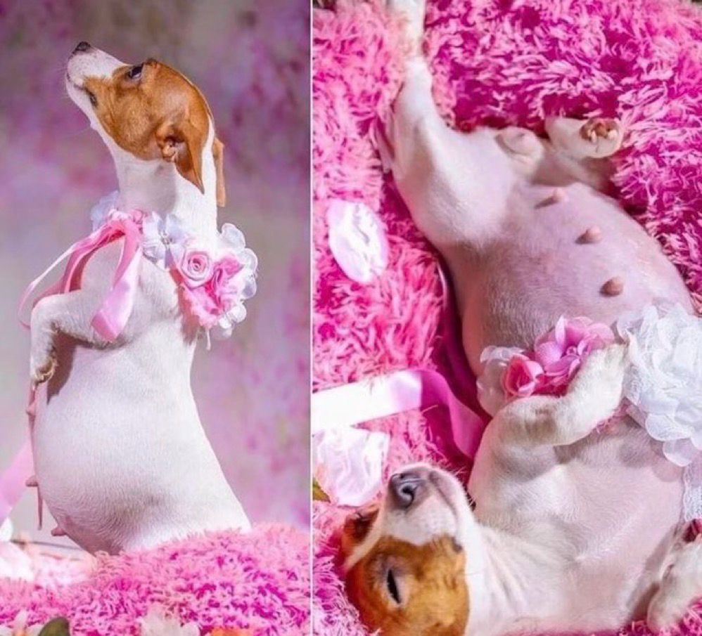 Me when my period is one day late