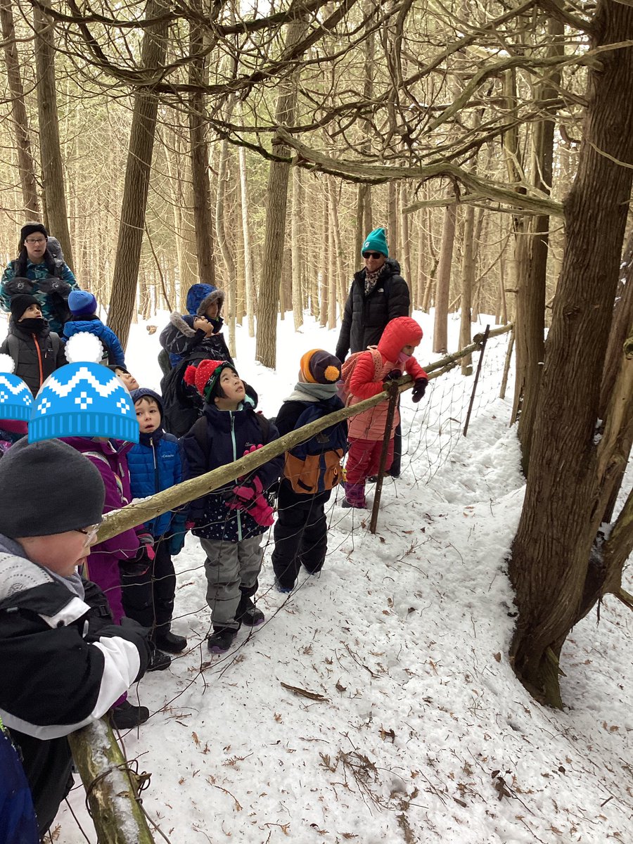 SYD_books_LDSB's tweet photo. A fabulous day a @gouldlake_LDSB #hikinginthewoods #collectingsticks #campfire #roastinghotdogsandmarshmallows @SydenhamPS_LDSB ๐ฅโ๏ธ https://t.co/jaFu1r2ktI
