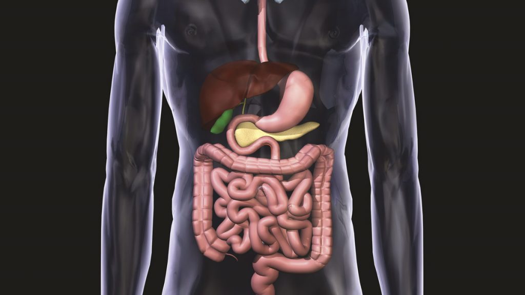 rathfoundation's tweet image. Researchers have found that people taking antibiotics for long periods of time have an increased risk of developing polyps in the colon, a known precursor of bowel cancer.
dr-rath-foundation.org/2017/04/long-t…