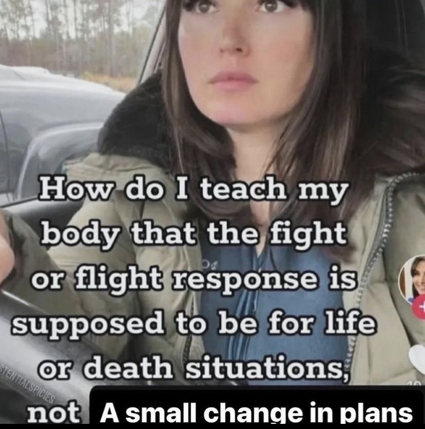 northstardoll's tweet image. 