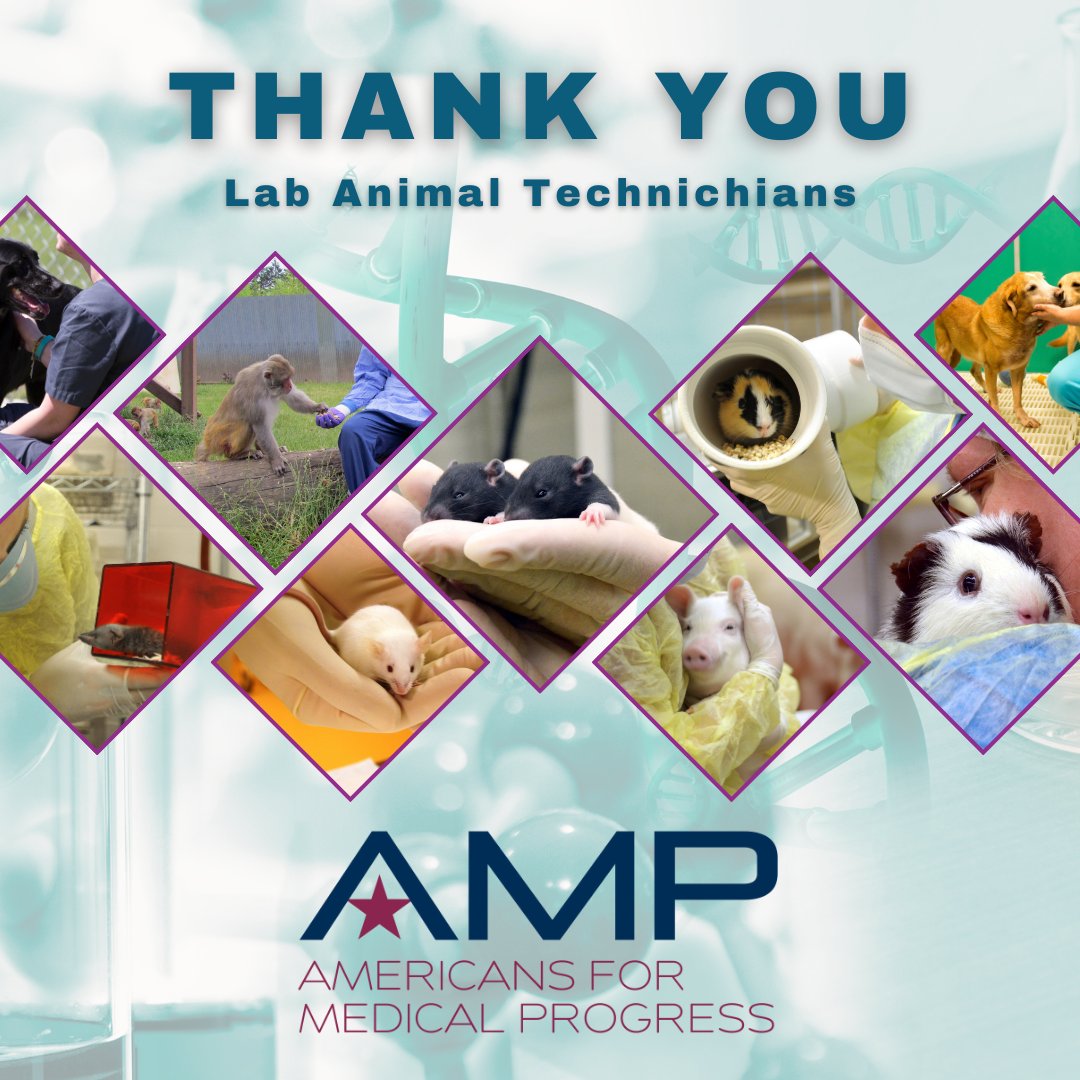 Happy International Laboratory Technician Week! Not only do these awesome lab animal techs provide love and care for animals in research, but they are also part of a growing industry that makes sure medical advances move ahead. #TechWeek2024 #animalresearchsaveslives