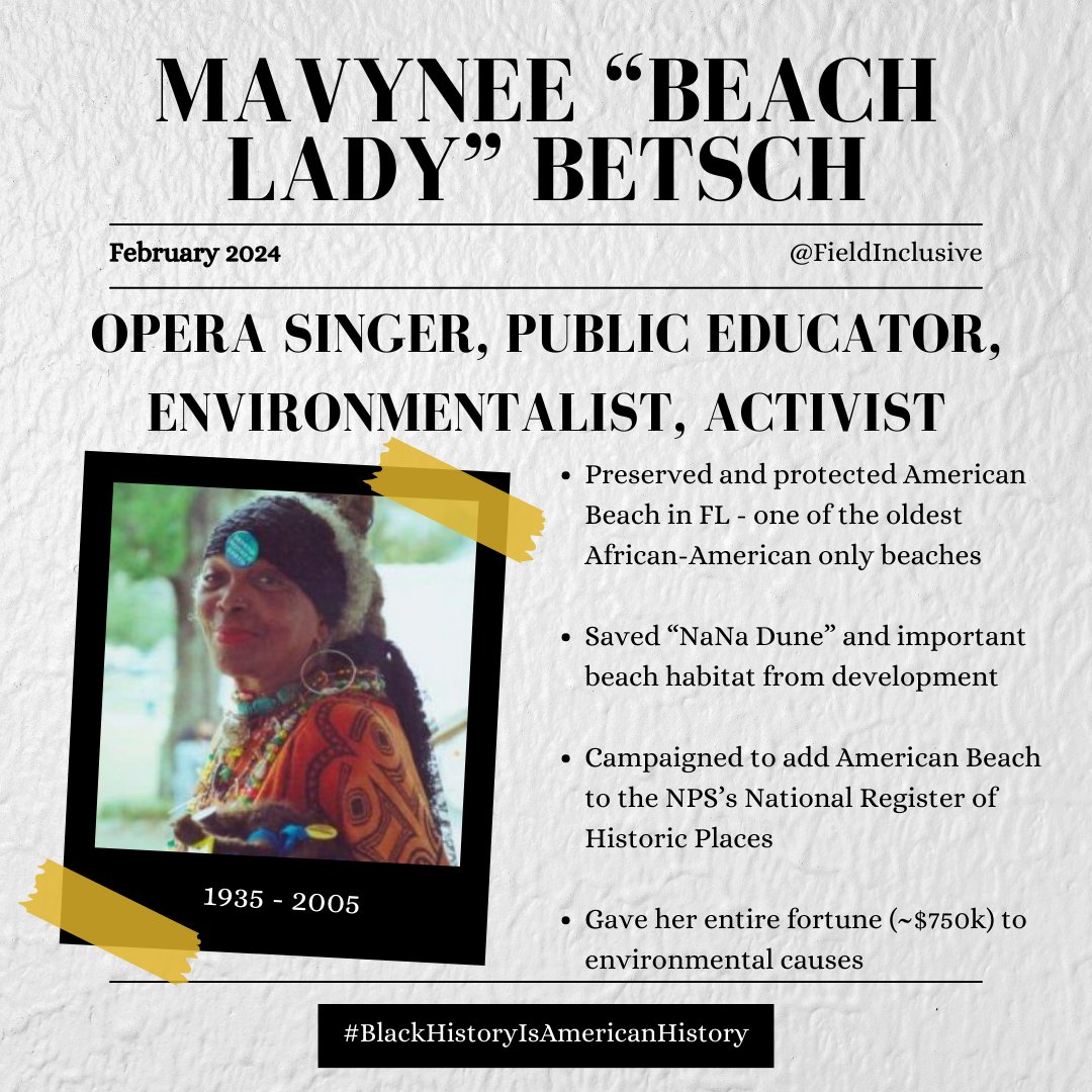 In honor of #BlackHistoryMonth, we are highlighting significant African American environmentalists and biologists throughout Feb. First up is Mavynee Betsch. Popularly known as 'The Beach Lady,' Mavynee dedicated to life and fortune to the preservation of American Beach.