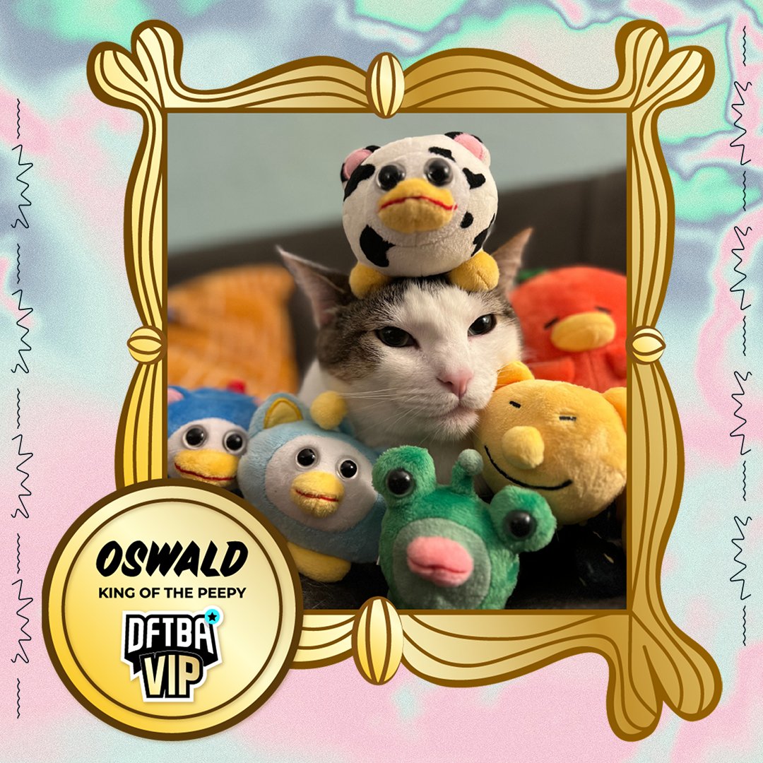 Congratulations to our Ops Specialist Val and their impressive kitty Oswald for winning the first ever DFTBA VIP (very important pet) award! We know he will enjoy his time reigning as the King of the Peepys. Shout out to @itemLabel for aiding Oswald in this victory!