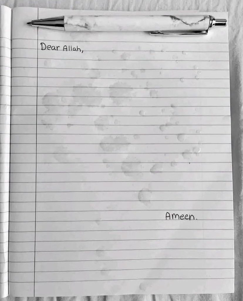 αнє∂♫. (@A5ED_2q) / Posts / X