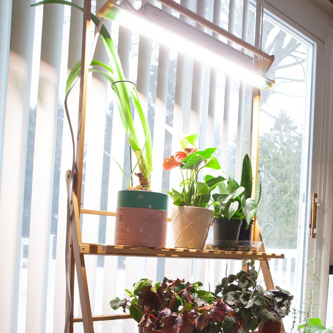 TCPLighting's tweet image. The weather outside might be questionable, but that doesn’t mean your plants have to suffer! Check out TCP’s extensive horticulture line for all of your indoor grow needs.