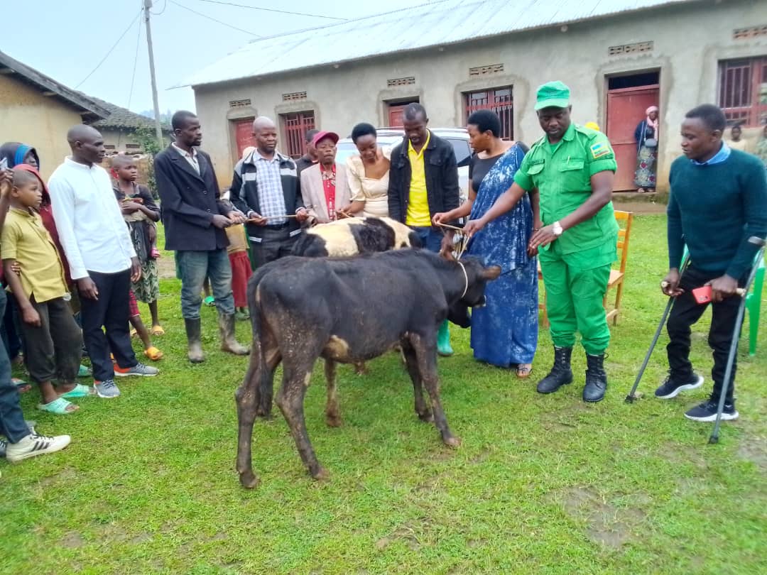 NYUNDO SECTOR tweet media