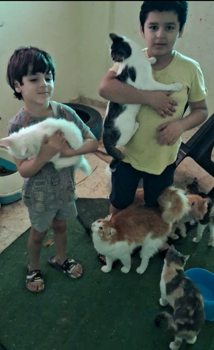 🚨 GoFundMe link: gofundme.com/f/help-get-my-… This photo was token at the 3rd day of #Gaza war, we risked of ourselves to evacuate the cats to a safe place, my kids Zeyad & Zein were helping by calming the cats and giving food. Zeyad & Zein now are on a serious danger and whom need…
