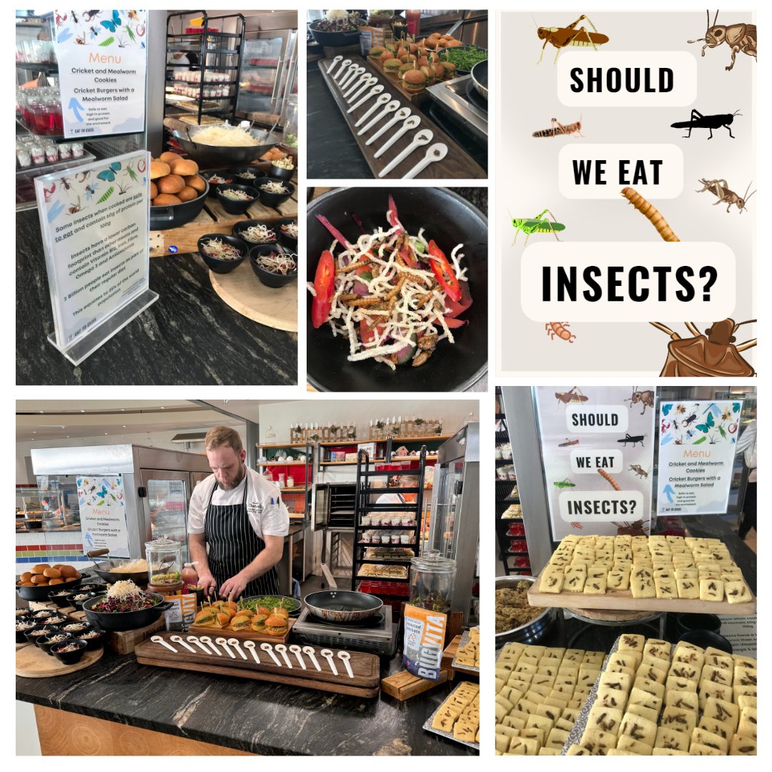 Millfield Nutrition tweet media