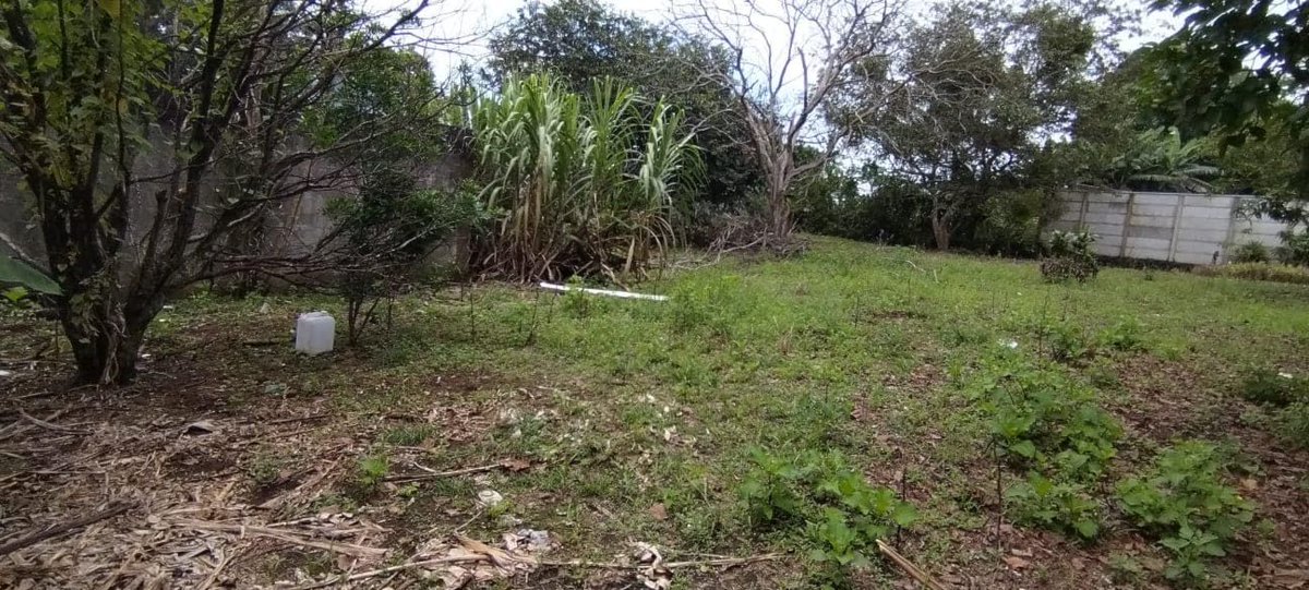 BusquemosCasa's tweet photo. Lote en venta
    País: Costa Rica
    Precio: ₡70,000,000
    Información de contacto aquí:
    https://t.co/HMtlQa8MNr
    #costarica #lotes #ventas #autopistabernardosoto #sanantonio #cantónalajuela #alajuela #costarica #propiedades #bienesraices #busquemoscasa https://t.co/L32KpwuR26