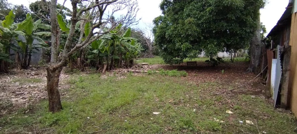 BusquemosCasa's tweet photo. Lote en venta
    País: Costa Rica
    Precio: ₡70,000,000
    Información de contacto aquí:
    https://t.co/HMtlQa8MNr
    #costarica #lotes #ventas #autopistabernardosoto #sanantonio #cantónalajuela #alajuela #costarica #propiedades #bienesraices #busquemoscasa https://t.co/L32KpwuR26