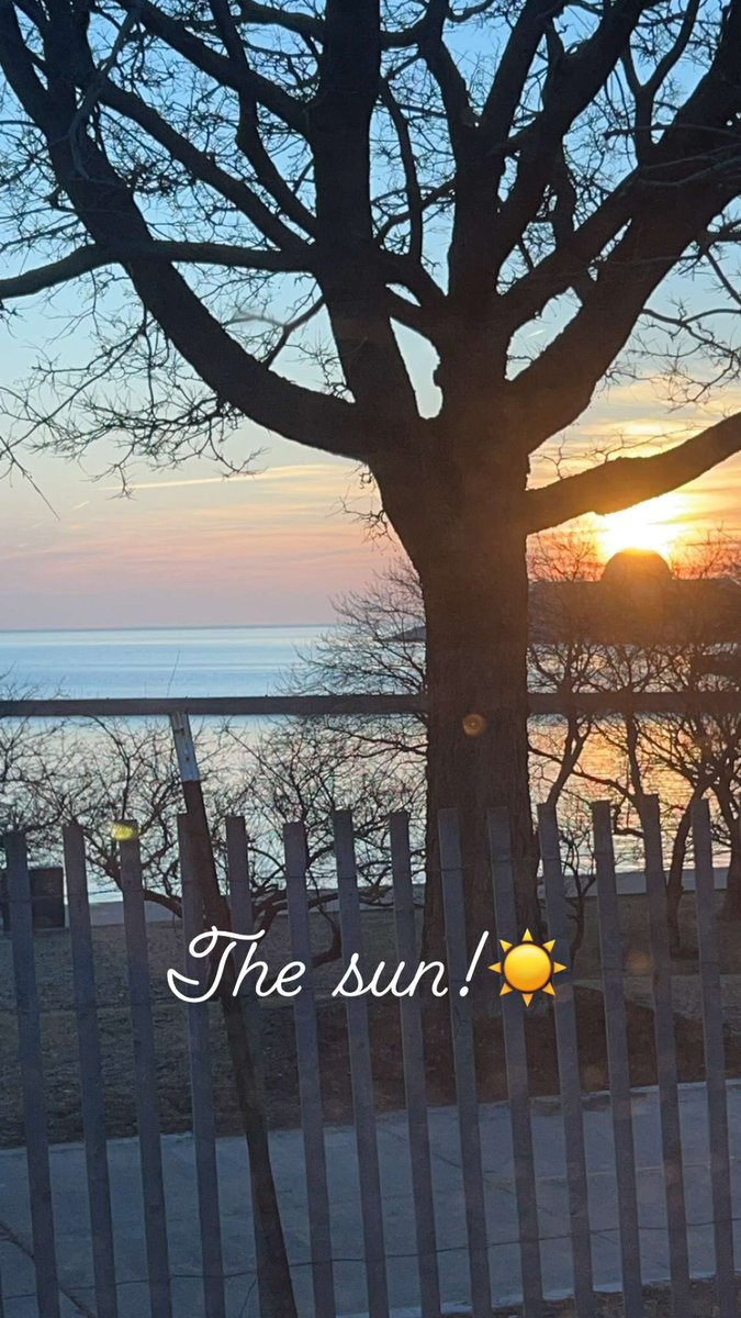 Stephanie Butler tweet media