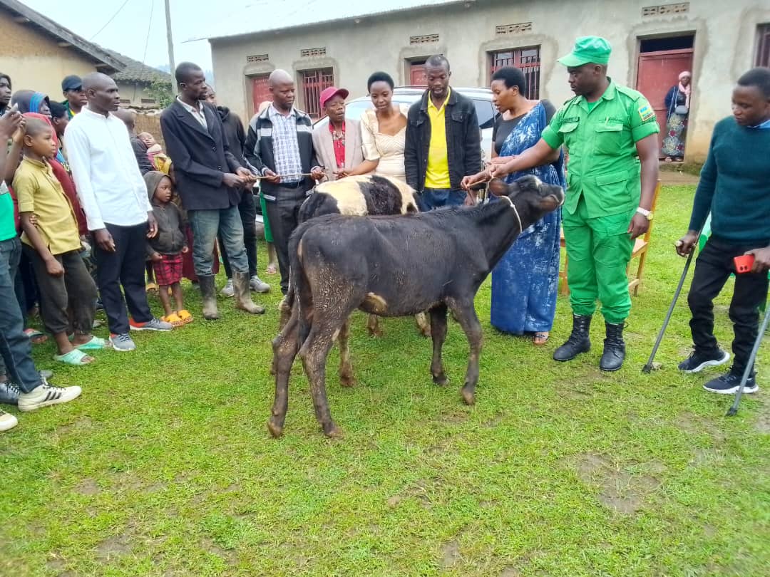 NYUNDO SECTOR tweet media