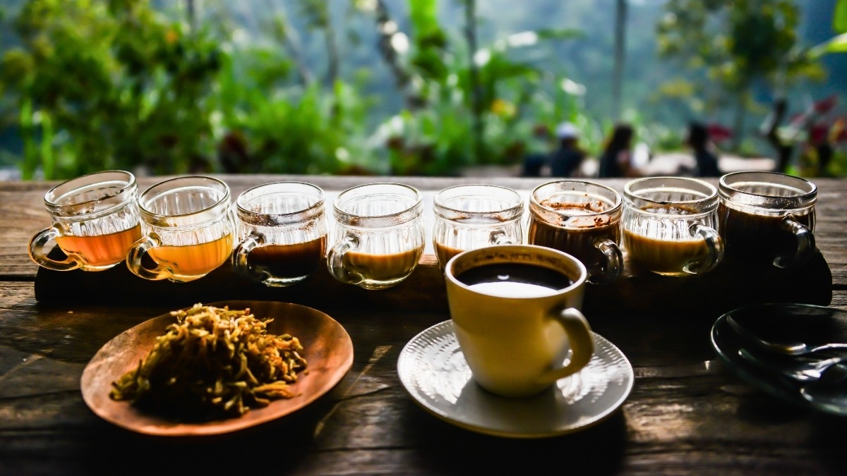worldfoodwine's tweet image. The world's most expensive coffee, Kopi Luwak, is made from beans that have been digested and excreted by an Indonesian cat-like animal called the Palm Civet. High-quality items indeed come from the most unexpected places! ☕🌏

worldfoodwine.com/beverages/coff…

#Coffee #FunFoodFact