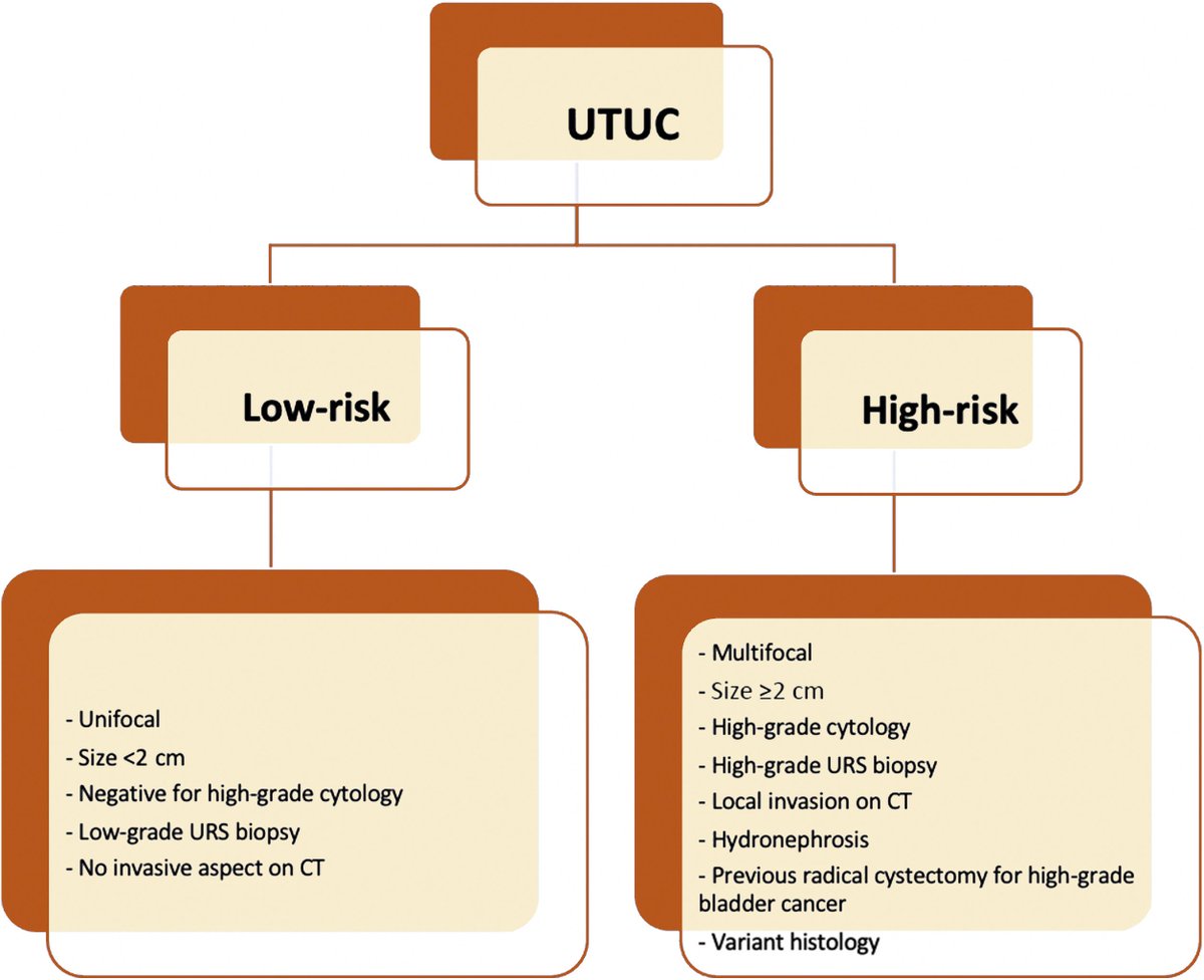 Throwback Thursday: Conservative Treatment of Upper Urinary Tract Urothelial Carcinoma: Referee buff.ly/2WSN0nu @elijeandin @ugopinar @MRoupret #UroSoMe #OpenAccess #Medtwitter