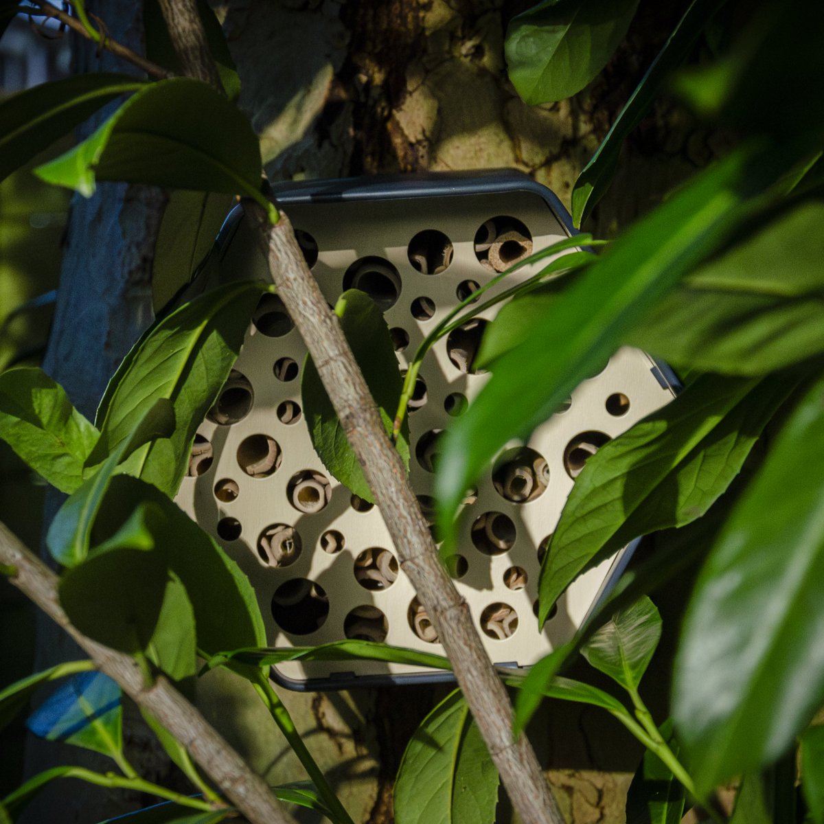 Metadecor tweet media