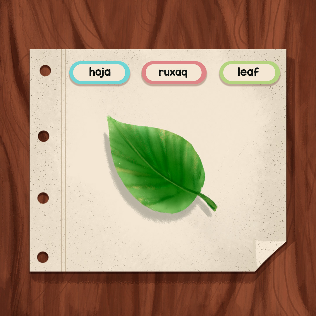 MayanToons's tweet photo. Conozcamos juntos algunas palabras en español, inglés y kaqchikel 💚 #illustration #artoftheday #digitalart #illustrationartist #sketchbook #vocabulary https://t.co/QSsfvFpJWQ