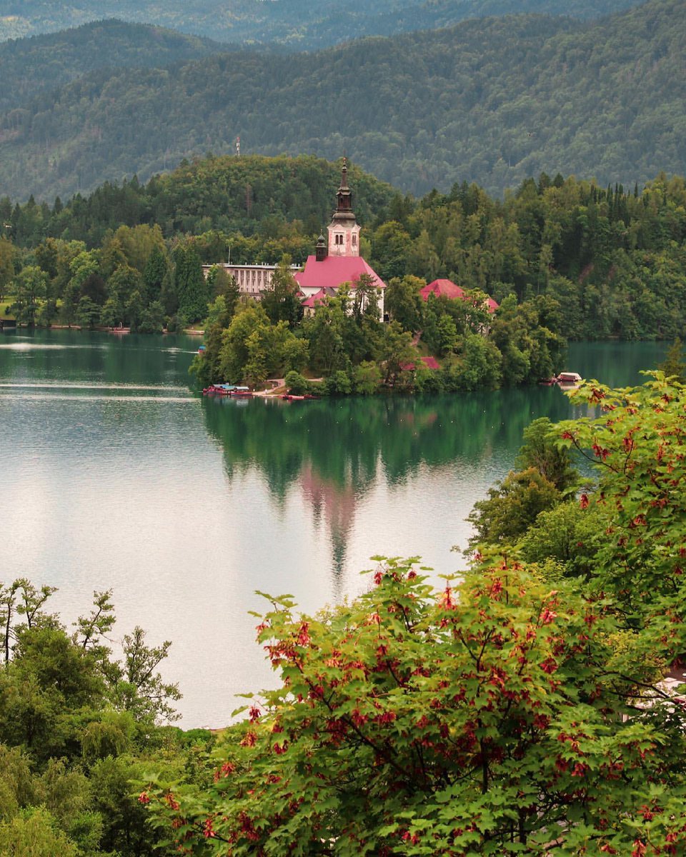 Doğasıyla büyüleyen Slovenya, Bled’e git.