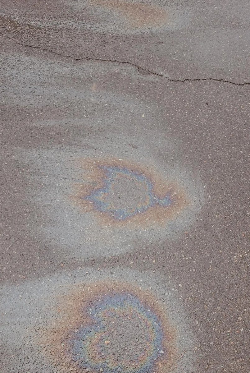 sayenfts's tweet image. Have a good #thuesday  
🌨🌈🌬