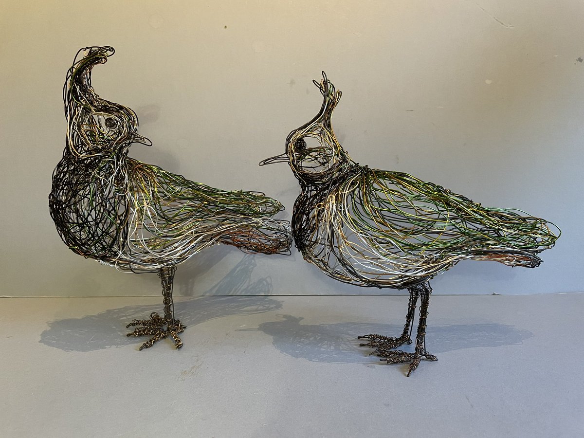 More Exciting News.I am thrilled to have been invited to Exhibit at the Prestigious Doddington Hall Sculpture Exhibition between July and September 2024.beyond. @DoddingtonHall #wireartist #wirebirdsculpture #lapwing #birdartist