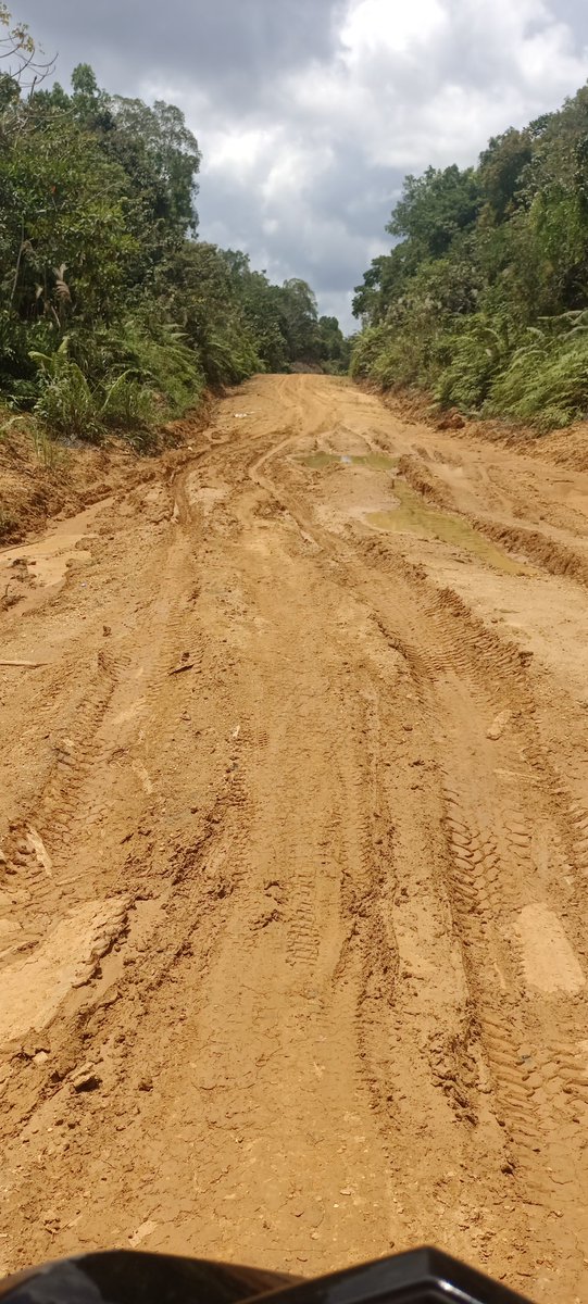 sniper323461's tweet photo. @jokowi Jl. Lintas kab.kapuas/kapuas tengah,kalimantan tengah RUSAK PARAH pak terutama di kec. Pasak talawang &amp; mandau talawang &amp; sampai detik inipun tidak ada perhatian untuk diperbaiki. Mohon untuk ditindak lanjuti Yth .bapak Presiden Joko widodo.🙏terima kasih https://t.co/Zoz1RYN7ci