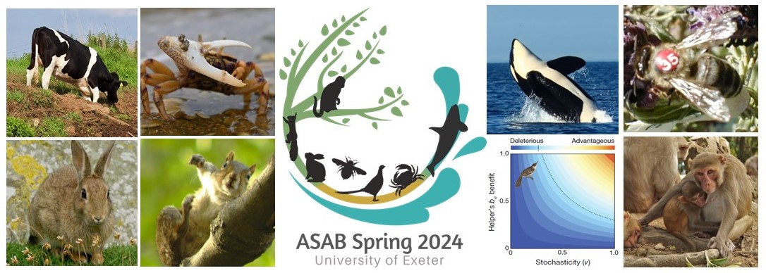 TODAY is the deadline for upto £500 travel grants for ASAB's @asab_org Spring Conference hosted by @CrabExeter in Exeter UK. @asab_conference asabspring2024.github.io/register/