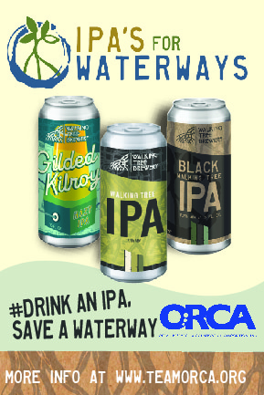 Purchase a Walking Tree Brewery Mangrove Series IPA at any of your favorite bars, restaurants or craft beer retailers and we'll donate a portion of every IPA sold to back to orca ORCA and the amazing work they are doing. @teamORCA #IPAsForWaterways