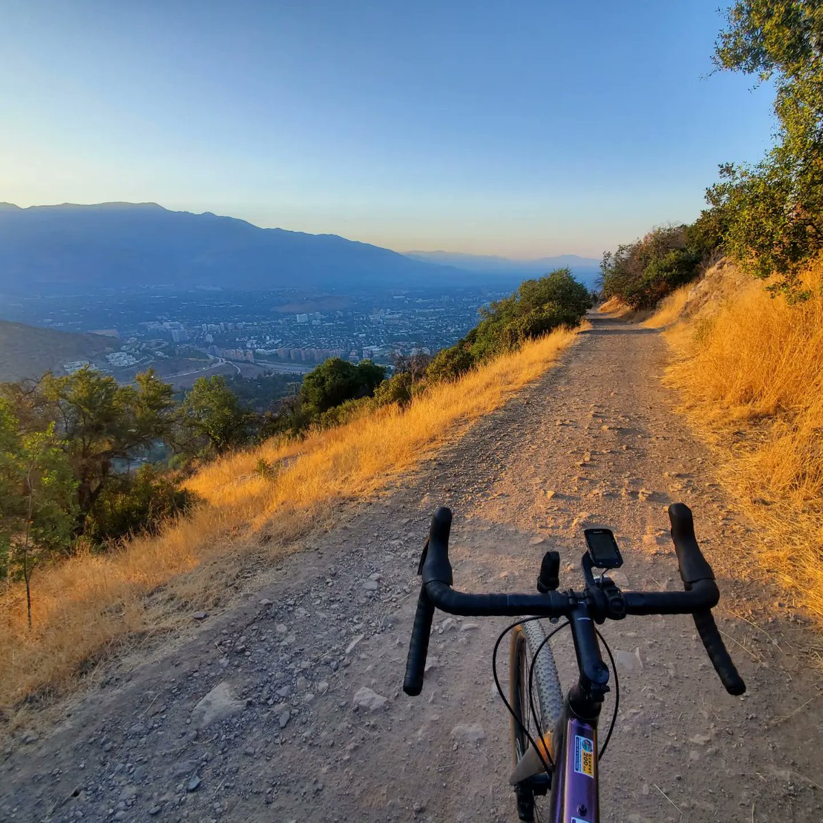 Ricardo Hurtubia (⧖) tweet media