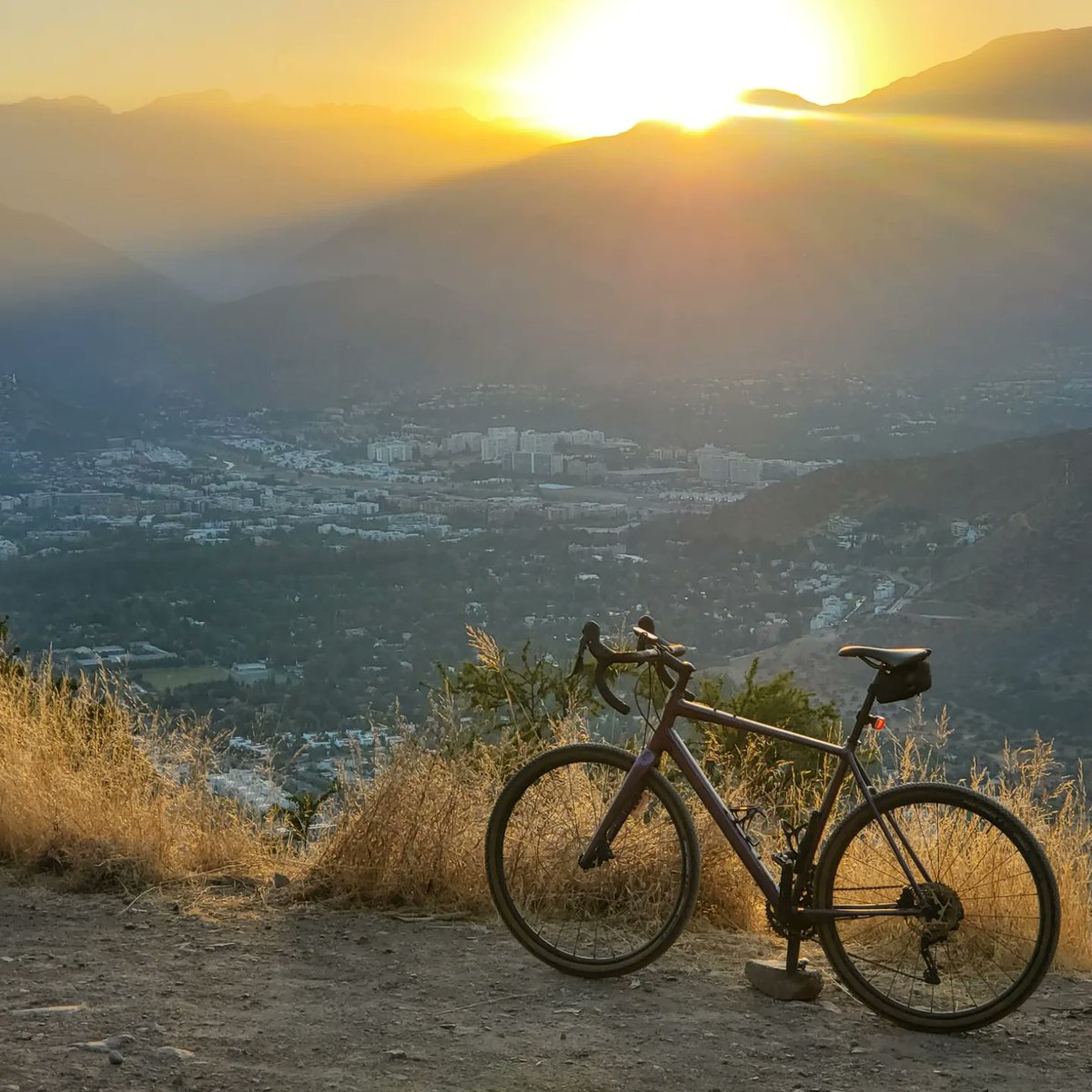 Ricardo Hurtubia (⧖) tweet media