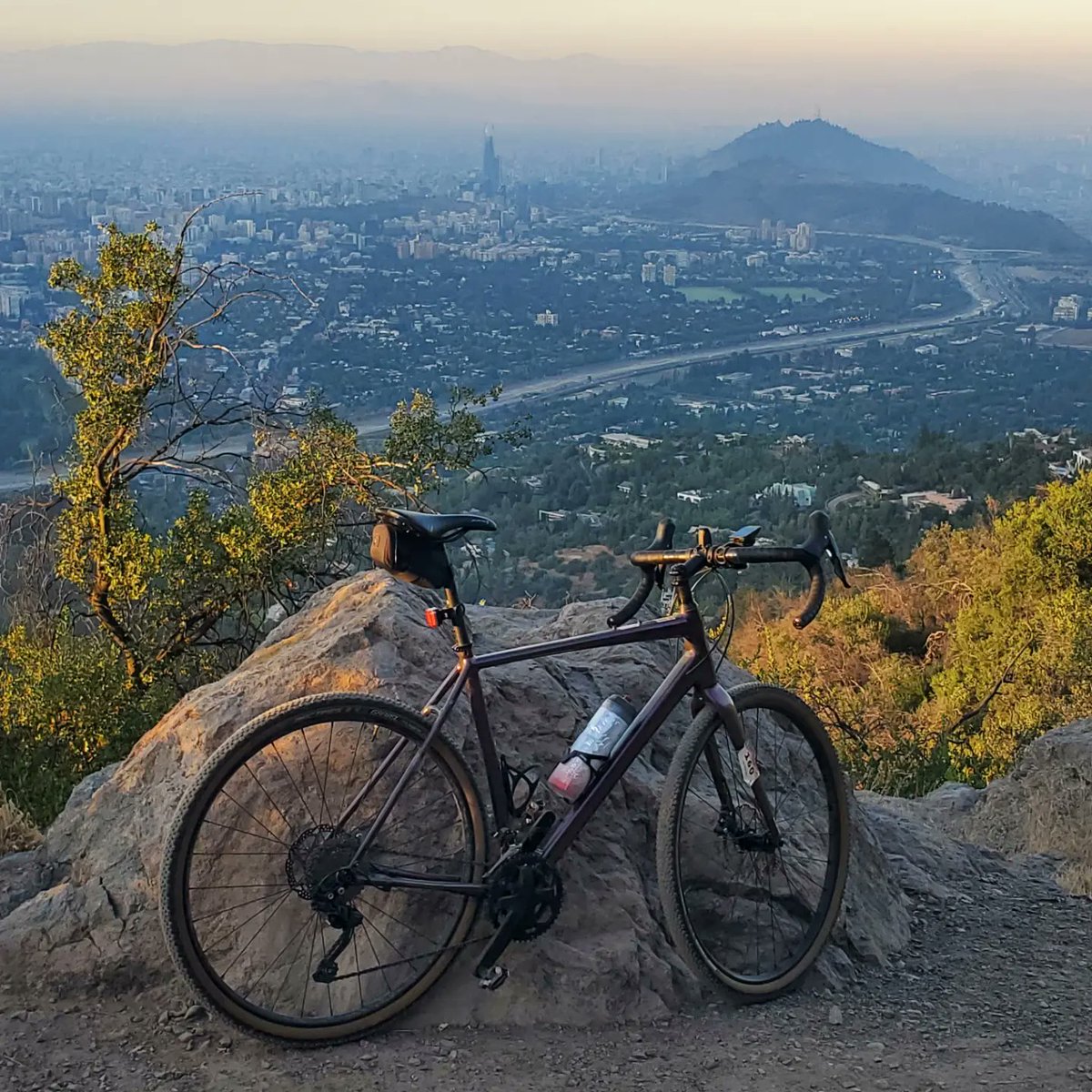 Ricardo Hurtubia (⧖) tweet media