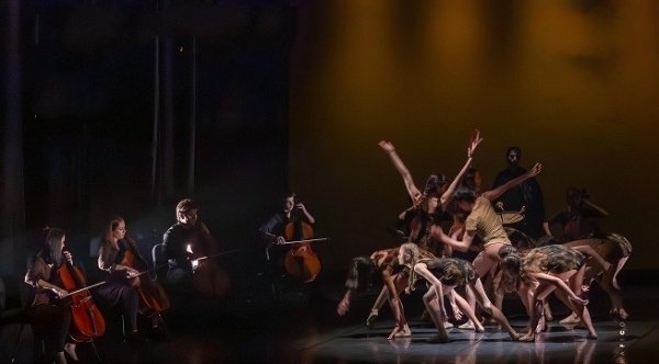 docenotas's tweet image. Amalgama 2024, música y danza entre conservatorios

docenotas.com/171587/amalgam…

#amalgama #conservatoriovictoriadelosangeles #conservatoriodedanzacarmenamaya #musica #danza #conservatorios