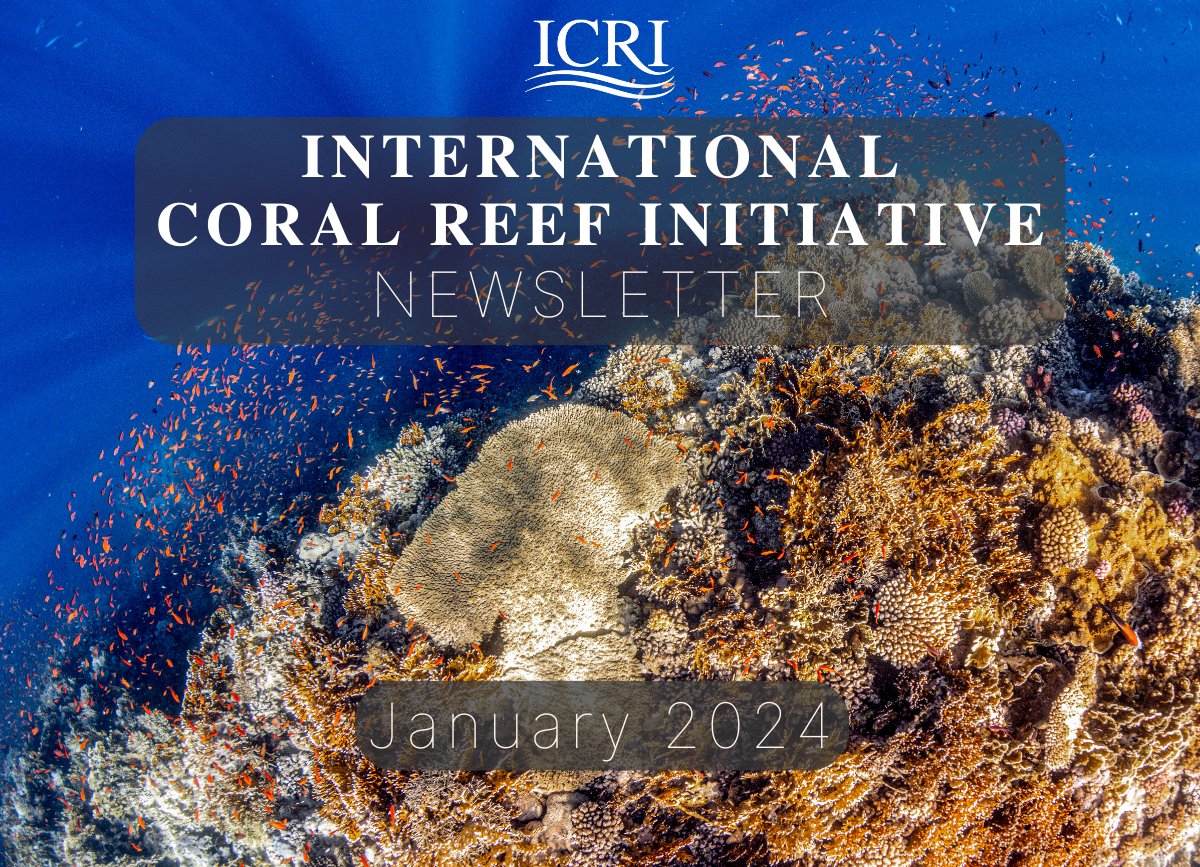ICRI_Coral_Reef's tweet photo. 🪸We are pleased to share with you the Latest ICRI Newsletter #ForCoral

Read More Here: https://t.co/HunQCR6QxG

📸: Ocean Image Bank // Renata Romeo https://t.co/DnI6xsS809