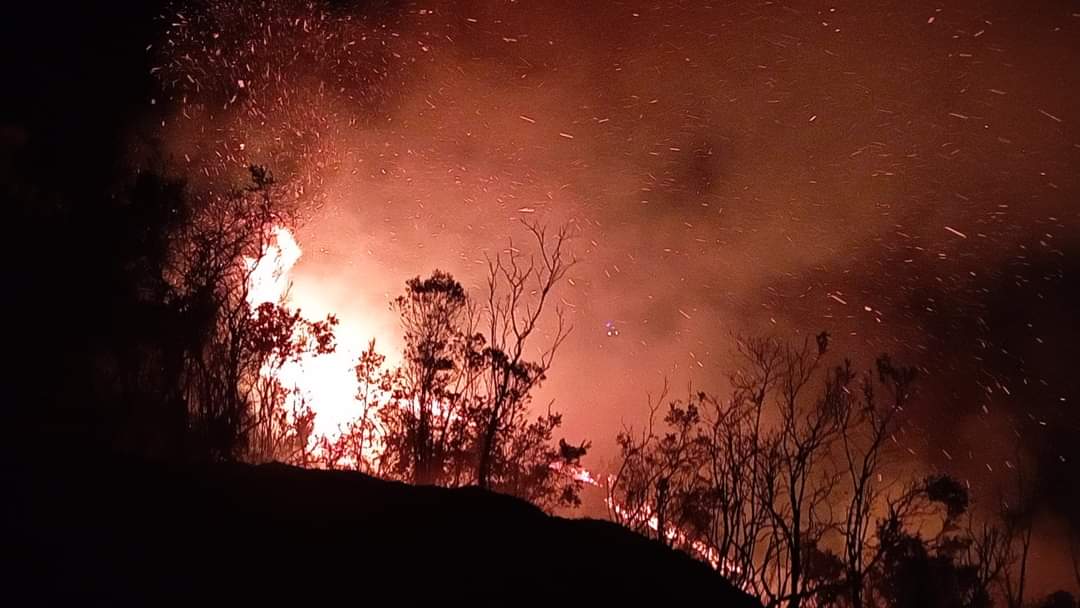 Jhairq's tweet photo. En estos momentos no se ha podido controlar el incendio que se presenta en la vereda Helechales, municipio de #Sucre Santander. #SOS @OGRDSantander @GralJuvenalDiaz. https://t.co/X5bh6HDJVL