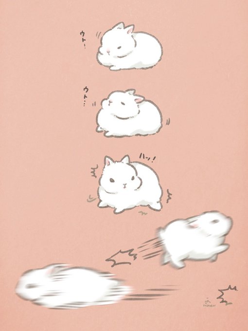 「猫口 白い猫」のTwitter画像/イラスト(新着)