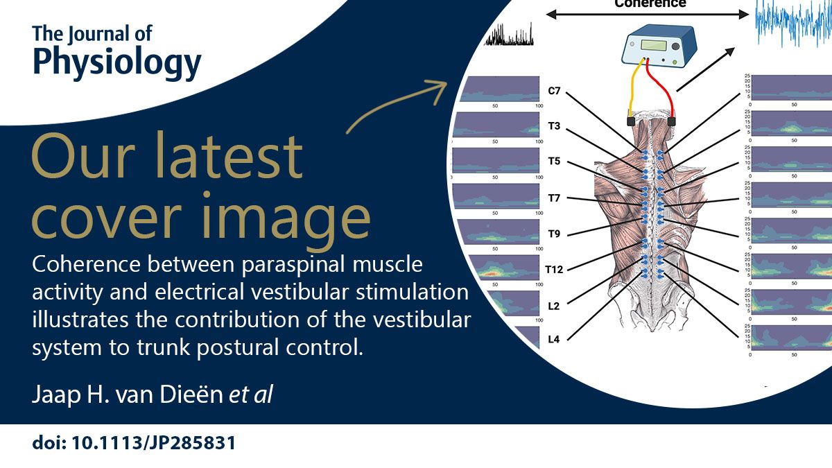 The latest issue of <a href="/JPhysiol/">Journal of Physiology</a> is now available! Featuring a cover image from @DieenJaap et. al., which illustrates the contribution of the vestibular system to trunk postural control!
See the full issue via the link below!
📜buff.ly/480jOcG