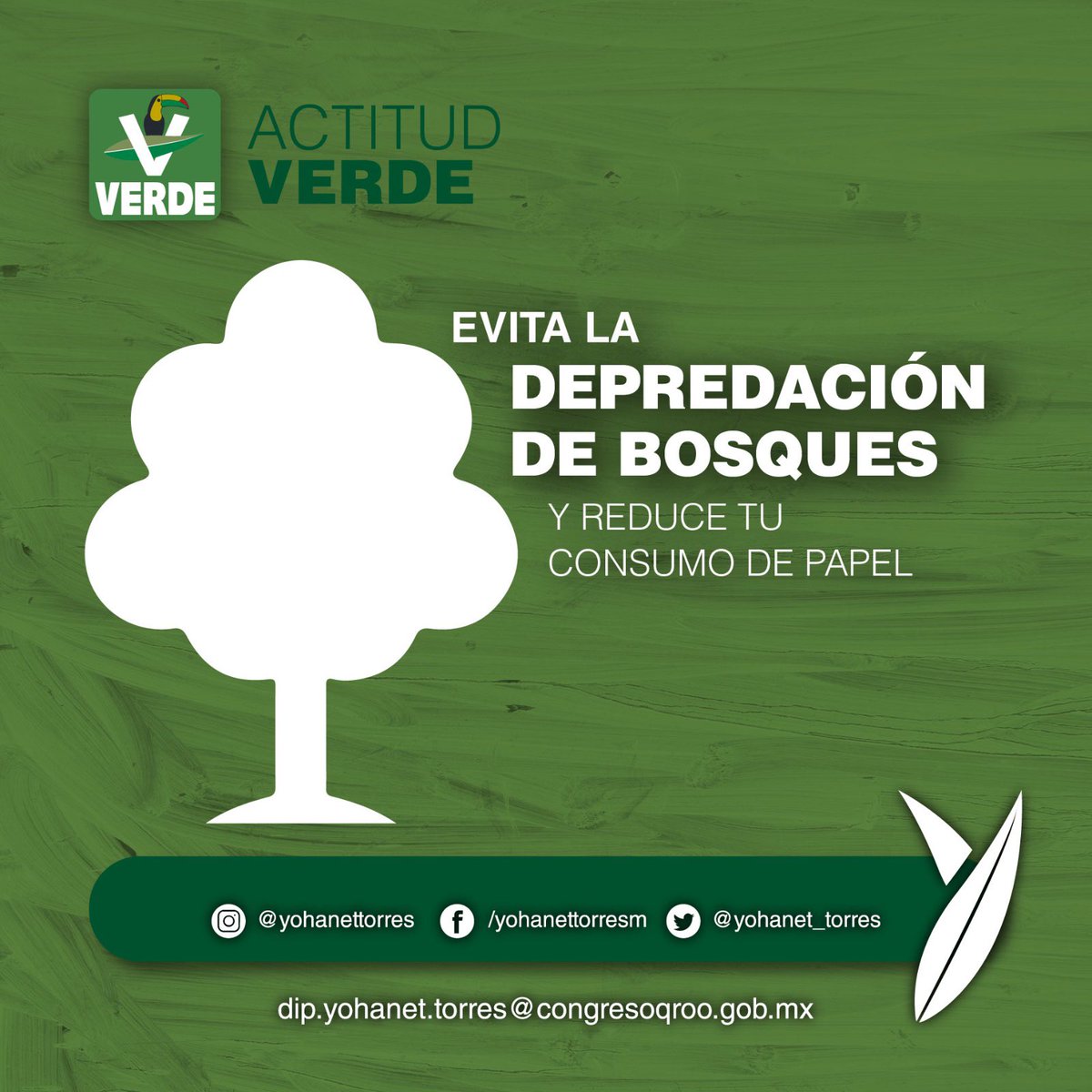 yohanet_torres's tweet image. #TipVerde
@quintanaroopvem