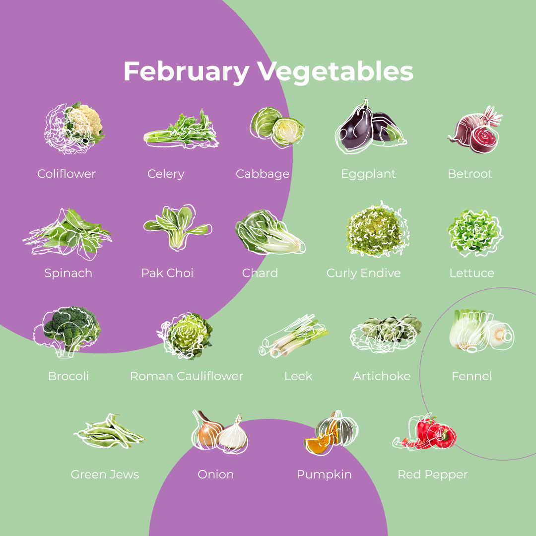 Hortiberia's tweet photo. ¡𝐂𝐨𝐦𝐢𝐞𝐧𝐳𝐚 𝐟𝐞𝐛𝐫𝐞𝐫𝐨! ⭐

🍓🍊 Fresas, mandarinas, alcachofa, brócoli. ¿Cuál es tu verdura y fruta preferida de este mes?

👉 Consulta nuestro catálogo completo de este mes en nuestra web. https://t.co/8eZWoYxJ3Y