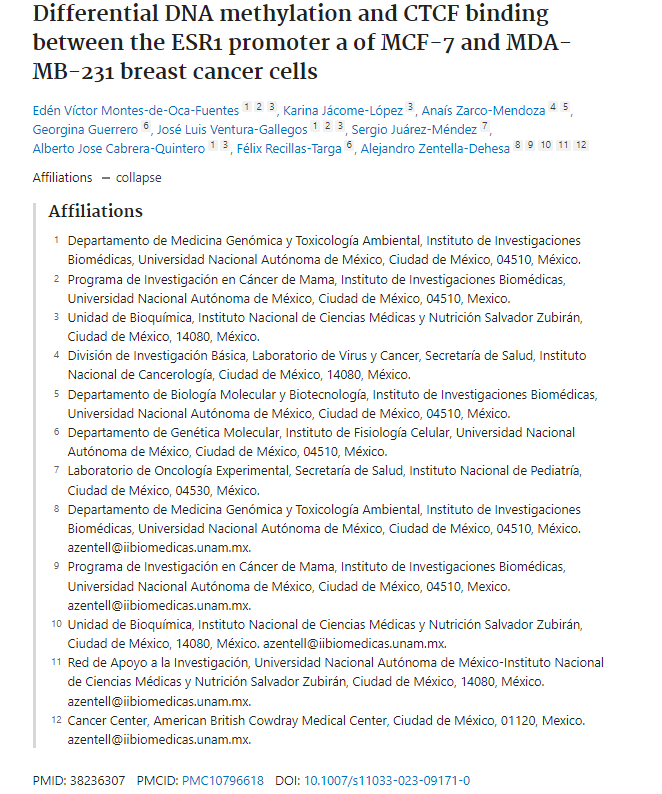 INCMNSZ_DirInv's tweet photo. Hallazgos sobre la metilación diferencial del ADN y unión CTCF entre el promotor ESR1 de células de cáncer de mama MCF-7 y MDA-MB-231.DOI: 10.1007/s11033-023-09171-0,participación del @incmnszmx @DehesaDr  @AlbertoJosCab3 @gguerre1 @kari_jacome @SergioJurezMnd1 @biomedicasunam https://t.co/vEBv2Qf3xK