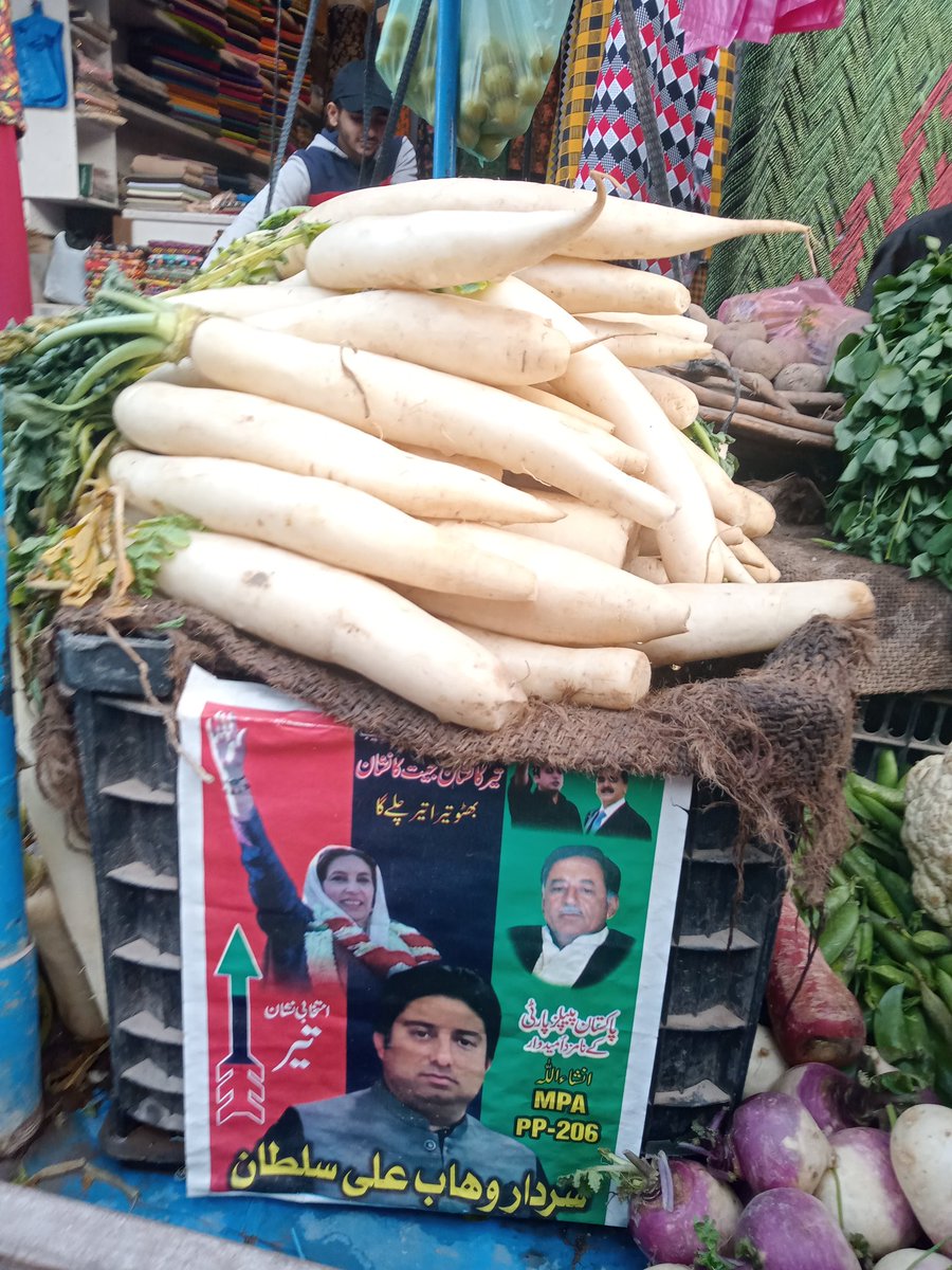 Maria_Zaman7860's tweet photo. Ye ha PPP ka asl vote bank❤️🙌
#PP206 #Abdulhakeem https://t.co/SCCEIqIhPe