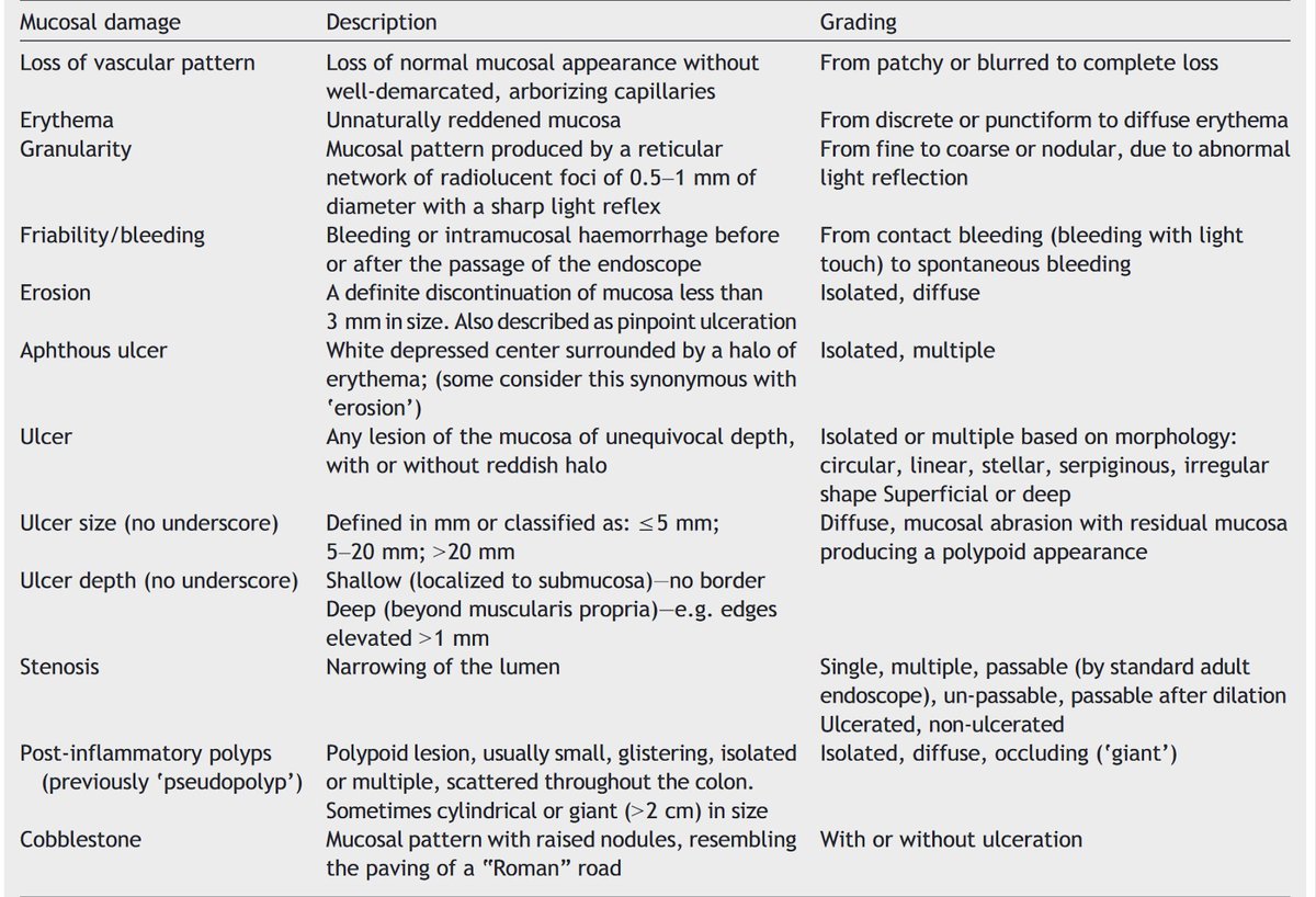 rajeshrgastro's tweet photo. 💡Are you using the correct terminology in the scope report of your IBD patients? Check out the exact description of common terms that we all use! 👇 #IBD #Endoscopy #GITwitter #MedTwitter https://t.co/UCJXgMPxU0