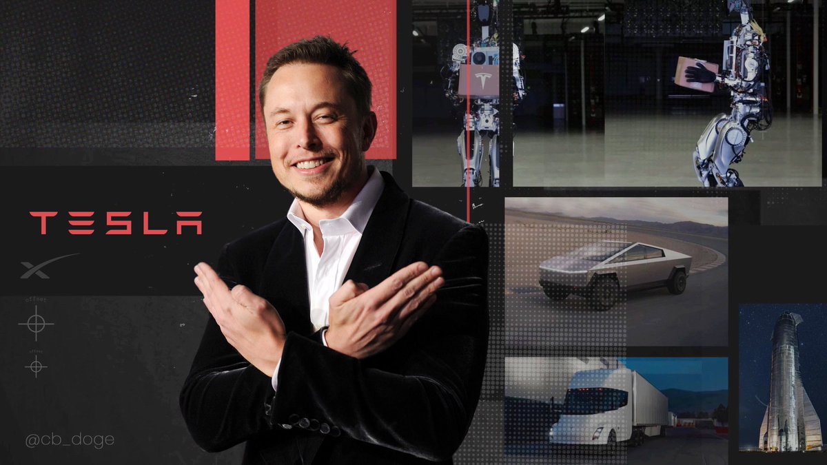 In Musk, We Trust 💯