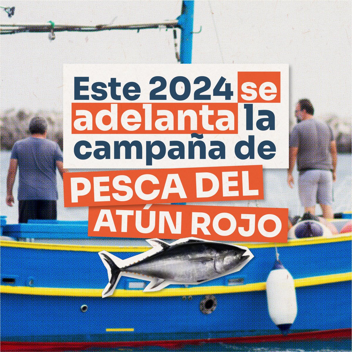 EL BOE ha publicado la Resolución de la Secretaría General de Pesca que activa el adelanto en el calendario canario de las autorizaciones para la pesca activa del atún rojo. 🎣
🗓Los pescadores canarios podrán capturar este túnico del 29 de enero al 14 de junio.🇮🇨