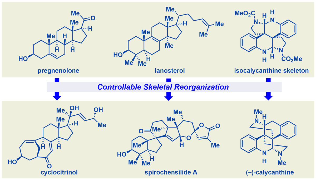 Check out our latest review on the efficient syntheses of steroid, terpenoid and alkaloid natural products by a skeletal reorganization strategy, out now in <a href="/NatProdReports/">Nat. Prod. Reports</a> : rsc.li/3UpPp4s