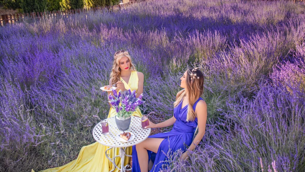 Non-Fungible Plants 🌱 tweet media