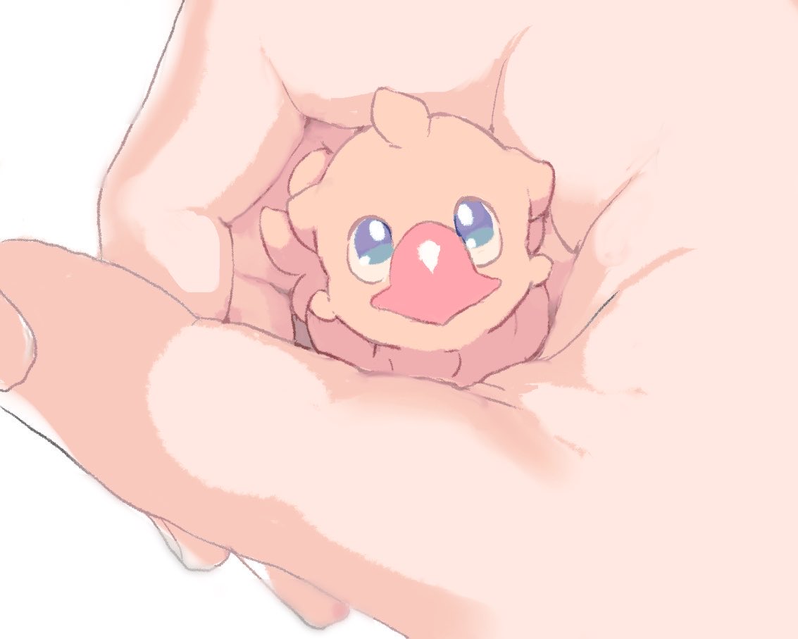 きみ (@_kimitty_) on Twitter photo 