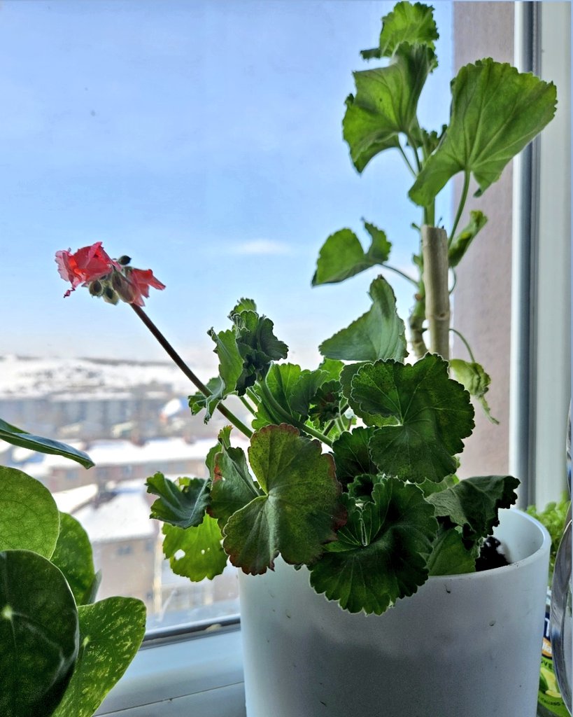 Ben tutundum bu şehre, sıra sende.