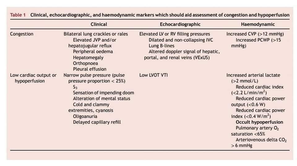 ZHeart11768530's tweet photo. 🔴Acute heart failure 2023:  Diagnosis and Treatment
https://t.co/TkjnNG4JS1
 #cardiology #CardioEd #CardioTwitter https://t.co/x65aRVKx3V
