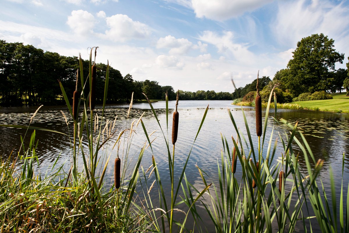 𝐄𝐗𝐂𝐈𝐓𝐈𝐍𝐆 𝐍𝐄𝐖𝐒! Festival of Sport will be heading to Packington Estate in Warwickshire from 1st – 4th August 2025💙 Sorry to make you wait but we’ve got big plans for another amazing weekend of family fun so we’re taking a bit more time than usual. See you next year!