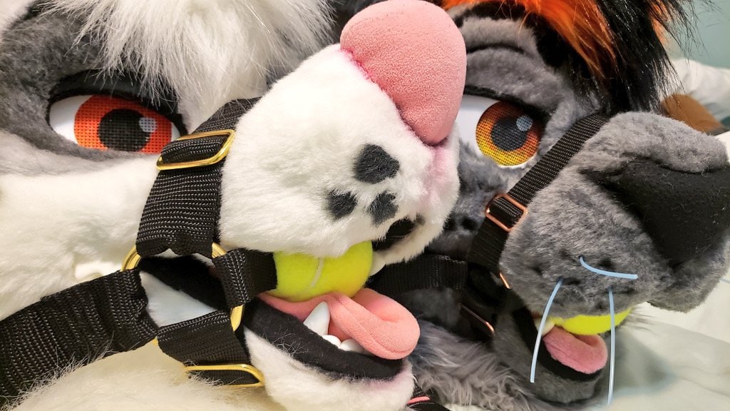 Trax / SewDog 🔜 NFC/FWA tweet media