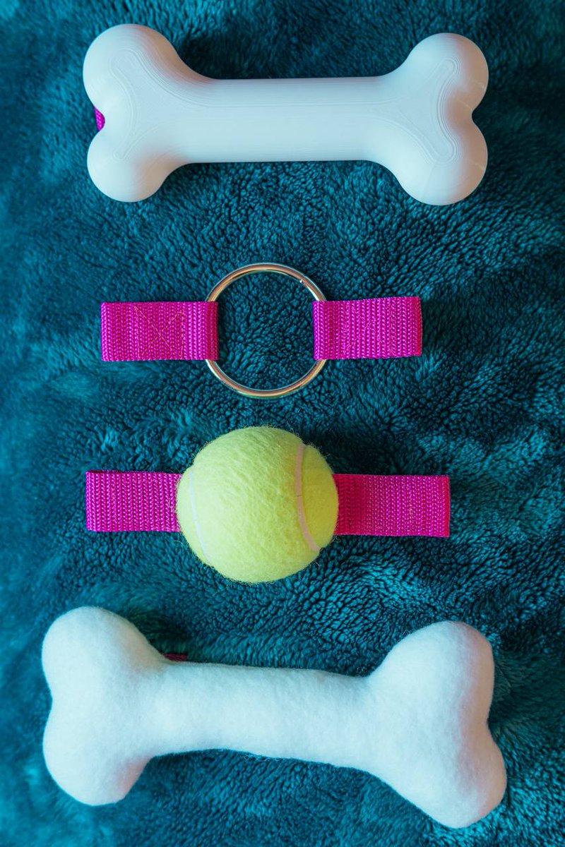 Trax / SewDog 🔜 NFC/FWA tweet media