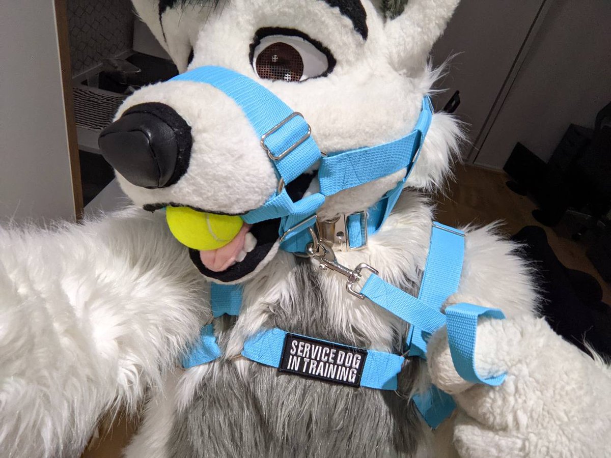 Trax / SewDog 🔜 NFC/FWA tweet media